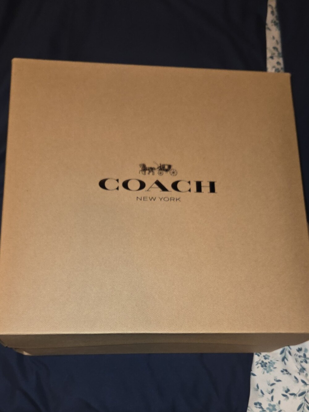 *NOT FOR SALE* Coach EMPIRE 21 SUEDE Bag in Fuchcia - Picture 5 of 6